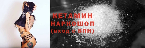 крисы Абаза