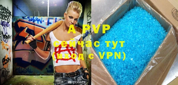 крисы Абаза