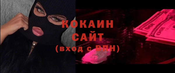 крисы Абаза