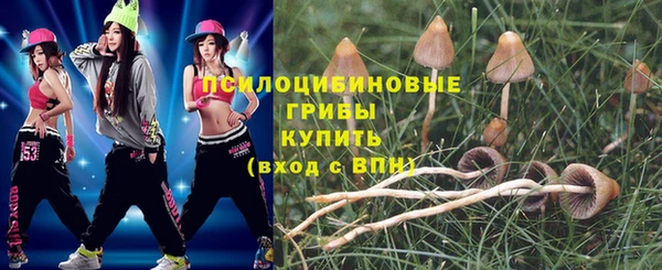 крисы Абаза