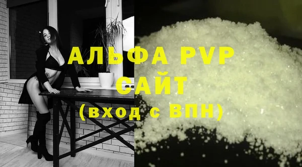 крисы Абаза