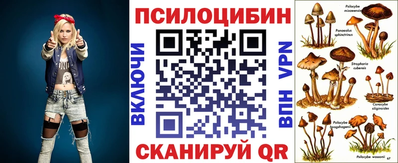 мега tor  магазин продажи   Власиха  Псилоцибиновые грибы GOLDEN TEACHER 